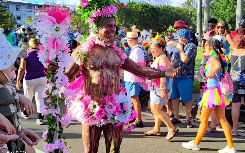 Avion à l'aéroport de Fort-de-France